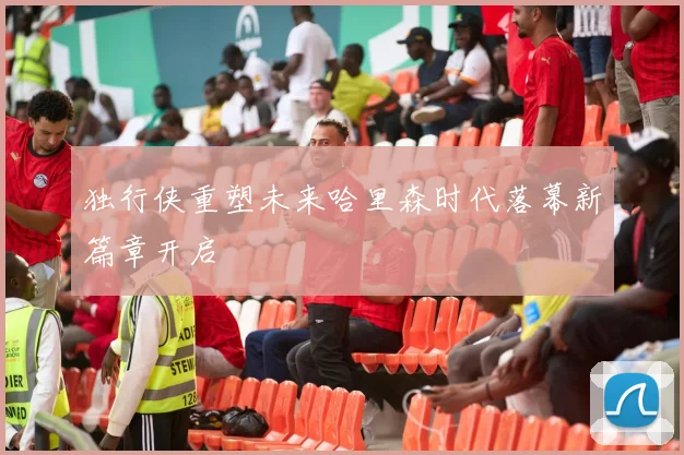 独行侠重塑未来哈里森时代落幕新篇章开启